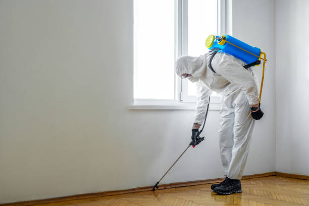 Best Termite Control Services  in Indialantic, FL