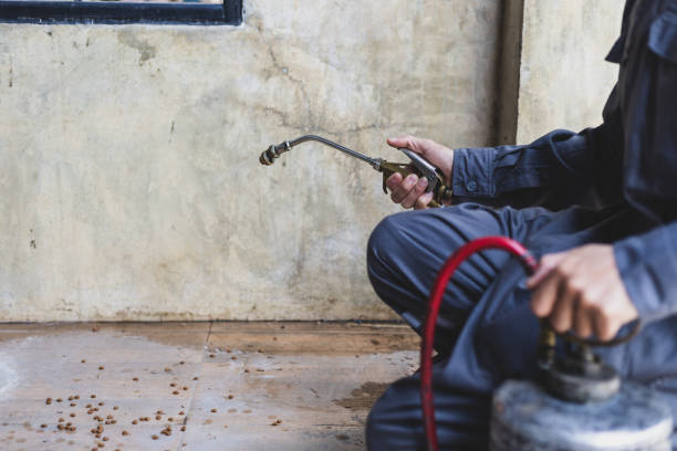 Best Termite Control Services  in Indialantic, FL